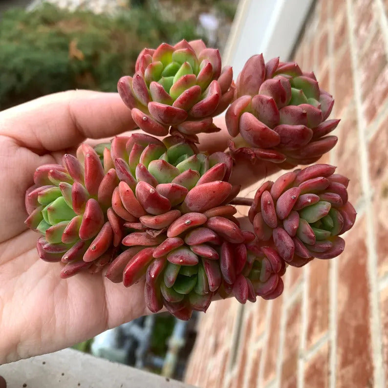 2f814fe3-6c7b-4696-b5ca-00b7f72a8fe1