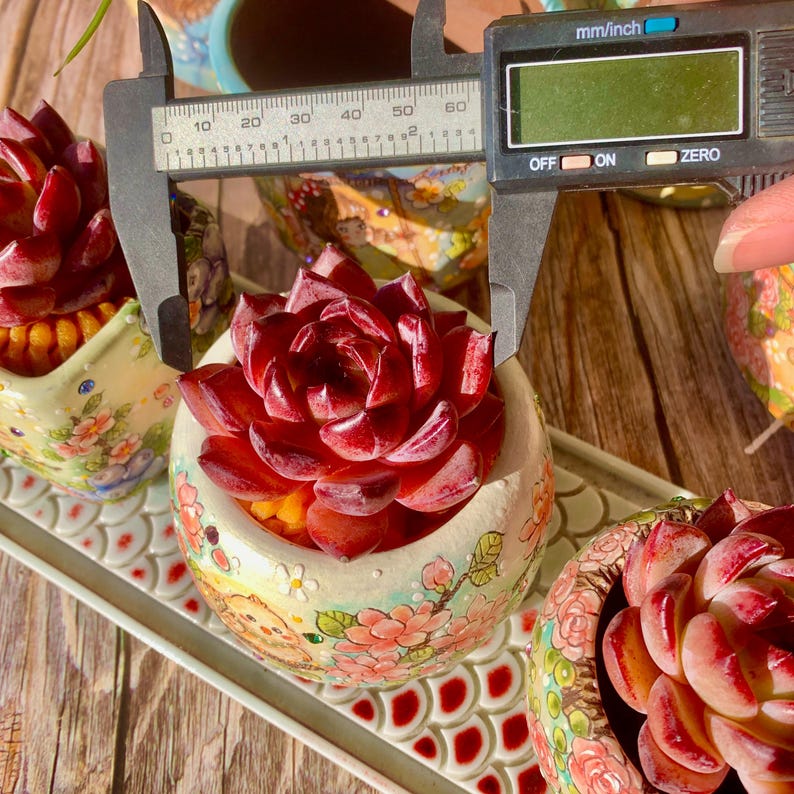 c39f0909-21de-49ac-b041-6930d81177a7