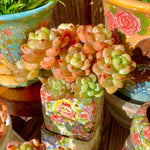 4afde9de-f326-4340-8a7f-35efc1b37b5d