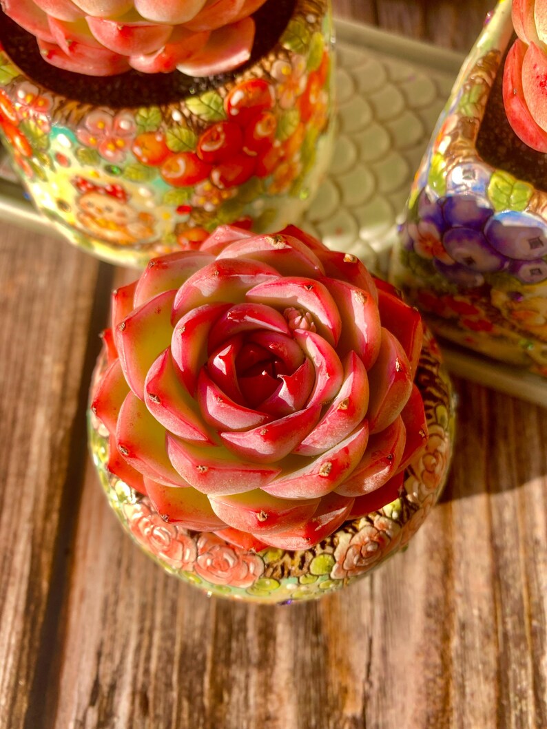 bf1554bb-c123-41de-a366-b2545bde297f