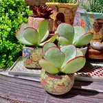 aa0aa5e0-1bfd-4167-bcd9-ce9cb3521cd9