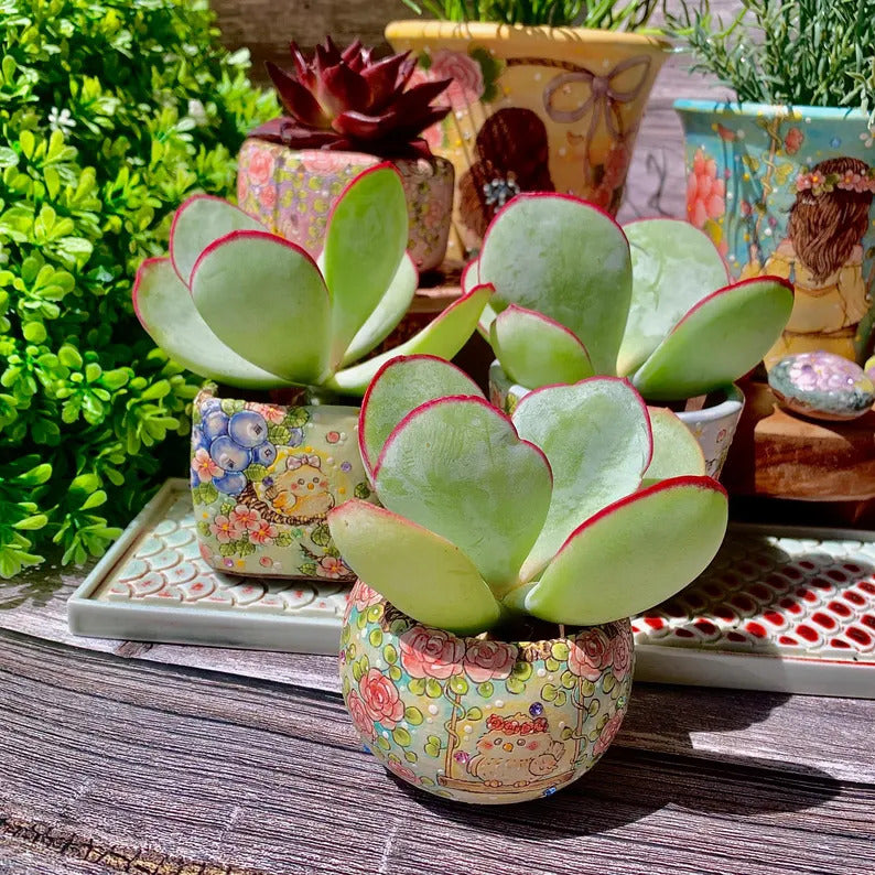 aa0aa5e0-1bfd-4167-bcd9-ce9cb3521cd9