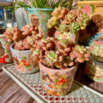 60edb822-c485-401f-93ac-65075b32807a