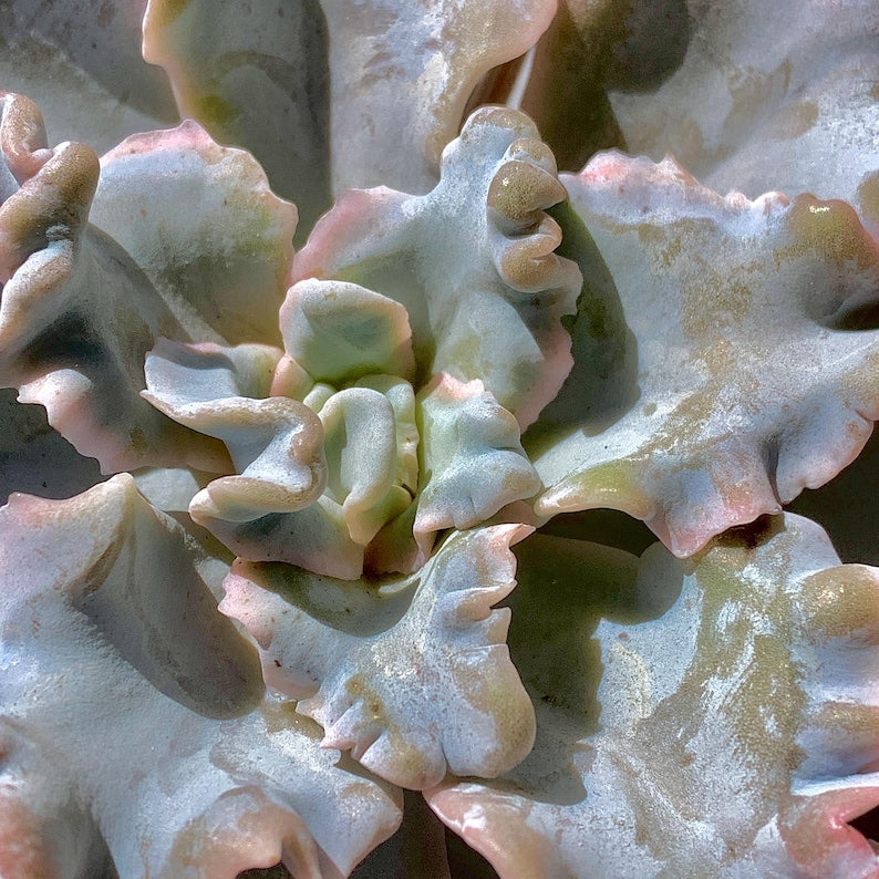 7a3a76ba-7d64-4d94-8ec4-1284066ea746