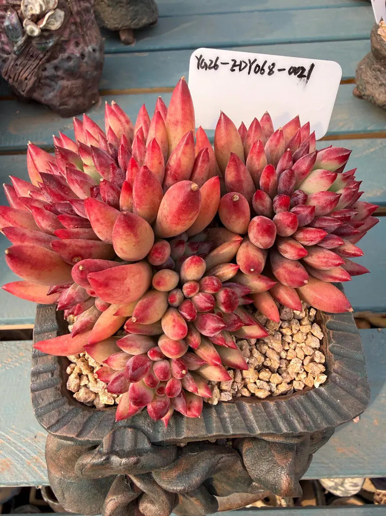 b6a03e7d-80d9-4ea7-8d3a-a932991d7d52