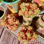 70125f80-6f06-473f-8d6d-f1b9387d6e5e