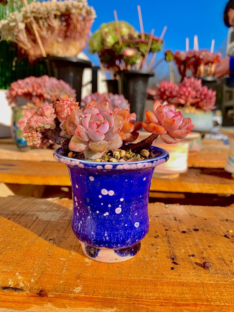 e28e7cc2-1c1c-4c0e-adbe-73dfb1c26dcf