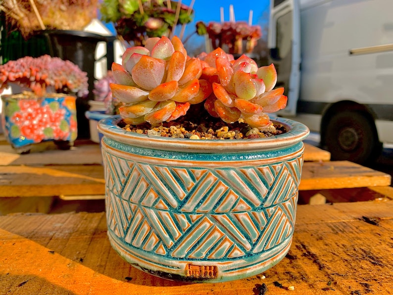 bbb38bb0-9364-4c83-b721-3be938996c07