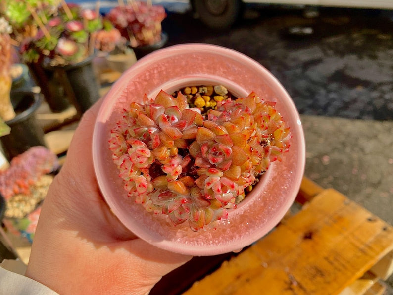 8097097b-8b6b-4a56-a7a0-f36002d86b31