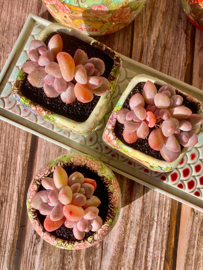 ed566ce7-ab98-4b10-872a-0dfde3d447e8