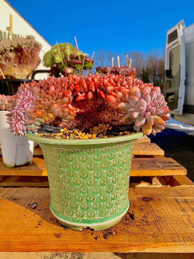 3a3ad9cb-7e33-4788-b2c3-2f1890b7d1cc