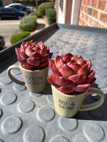 01608908-9077-4131-bf09-afb4e11d5cd9