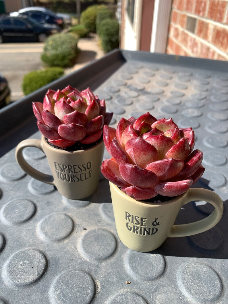 01608908-9077-4131-bf09-afb4e11d5cd9