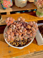 dd9217ca-dd8e-4d47-8e48-a7ee86d37367