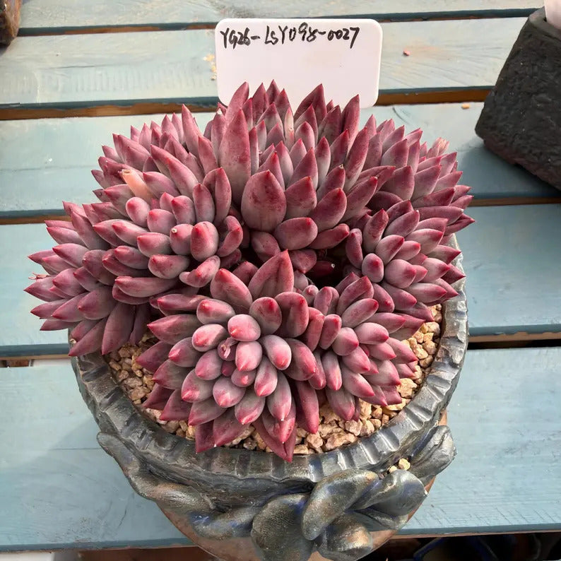 347b3d70-c314-419c-b06a-40202d4311db