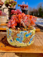 d83ec39d-12ca-410f-ab83-a8474f1fffea