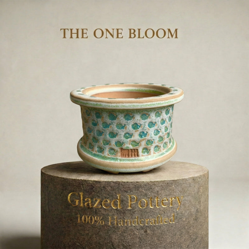 b0393a9e-d725-4eb3-b163-7de81fcbcbd7