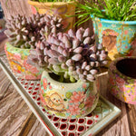 4efe118e-f477-492d-9f43-2f35d1089022