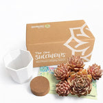 e23fecb9-7dfd-41df-815a-b274cf224b05