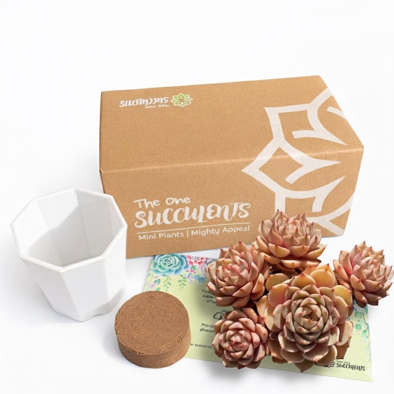 e23fecb9-7dfd-41df-815a-b274cf224b05