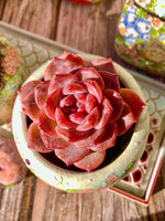 338db36f-1a9a-4eb9-9f29-e77a7560b001