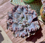 b8fe945f-42a2-480f-8aa8-2a48e2a443e2