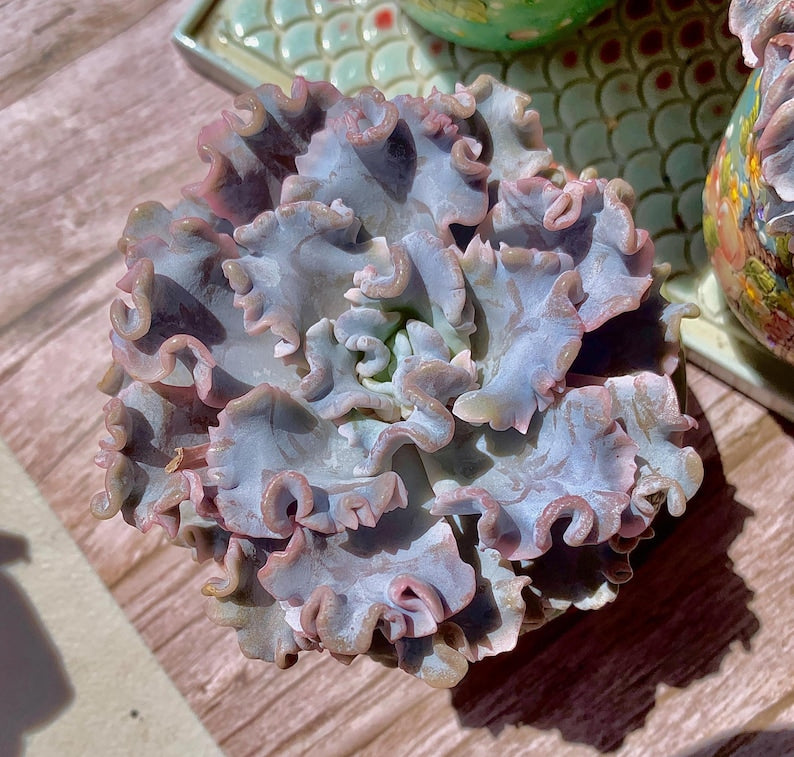 b8fe945f-42a2-480f-8aa8-2a48e2a443e2