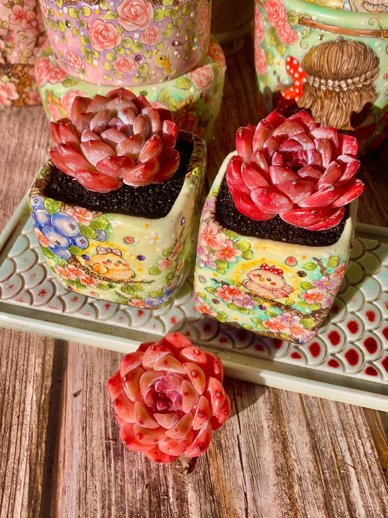 3fb2a5b4-8c98-4b6c-94ff-9fe8f6937345