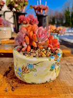 5d178490-5f39-43d0-8c3b-ac30c8c7ce9e