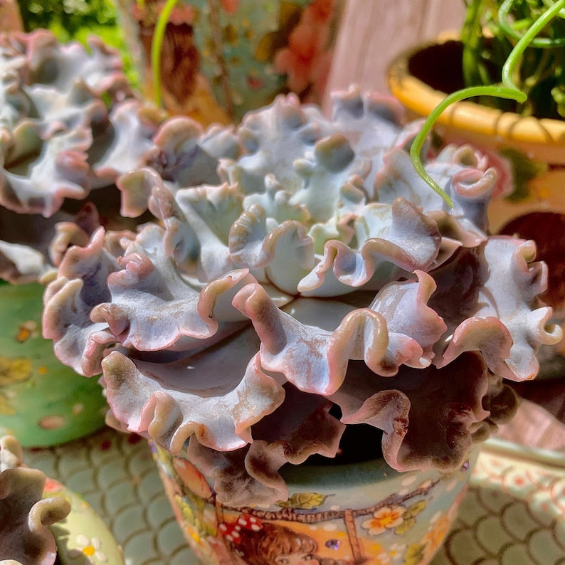 e679b677-f3f7-4f86-bdf5-7e323e2aab5f