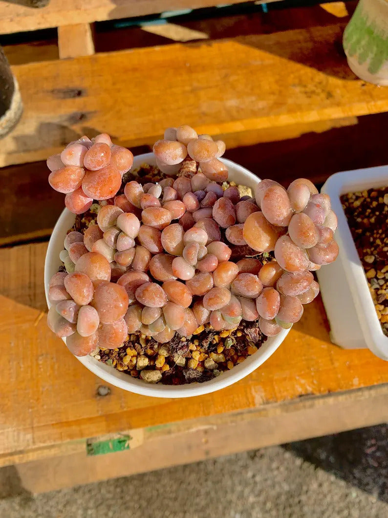 c8f37d46-b612-4642-91fd-188e8348ef55