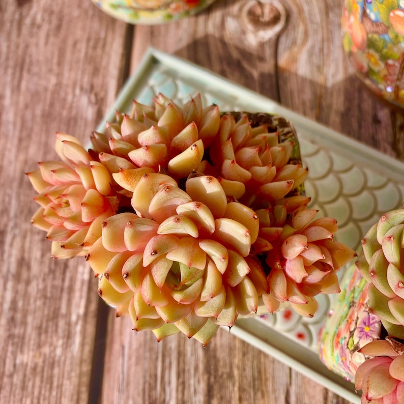 949443f3-961b-4689-a478-e9810e740c1b