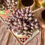 decda456-603f-4ae6-9d36-4461f4bbf115