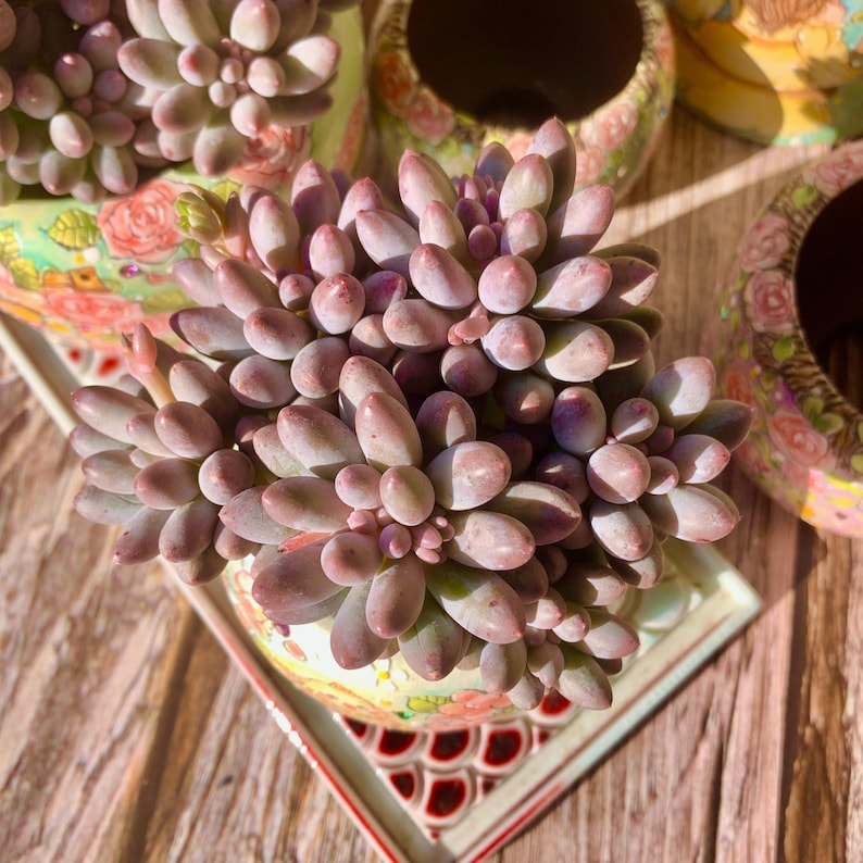 decda456-603f-4ae6-9d36-4461f4bbf115