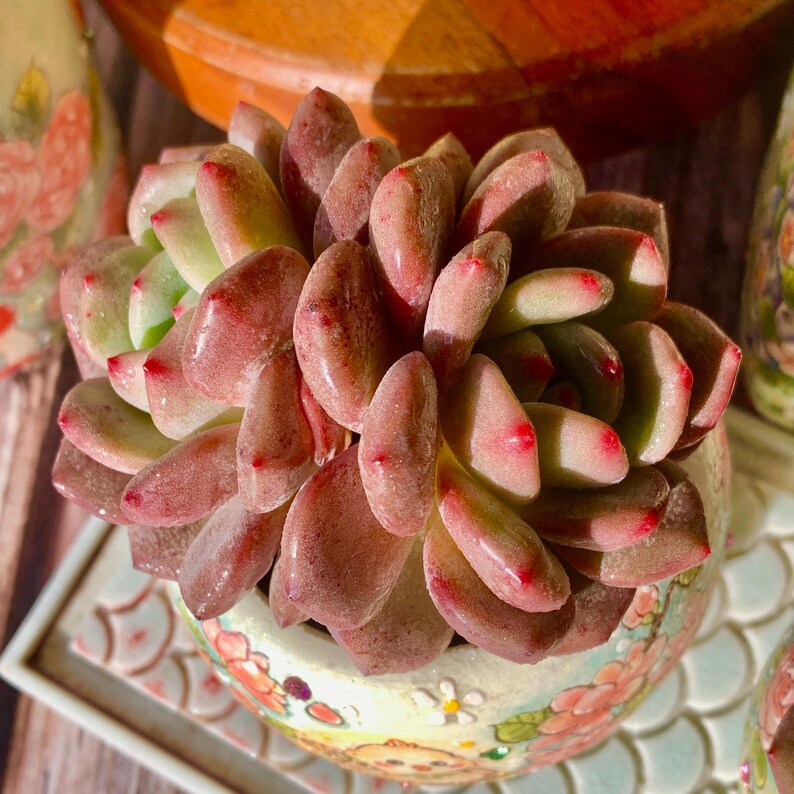 8b857ad7-f365-4c90-bb1b-5106740f77a1