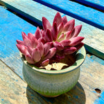 b2998ba8-95ea-4c42-93d4-006b67a9a265