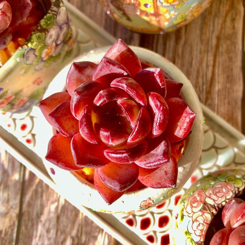 d9aa178f-d64a-4a04-906e-df3e4bee20c6