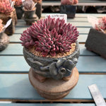 4d5fe31c-058c-4033-96d7-891066bddbcd