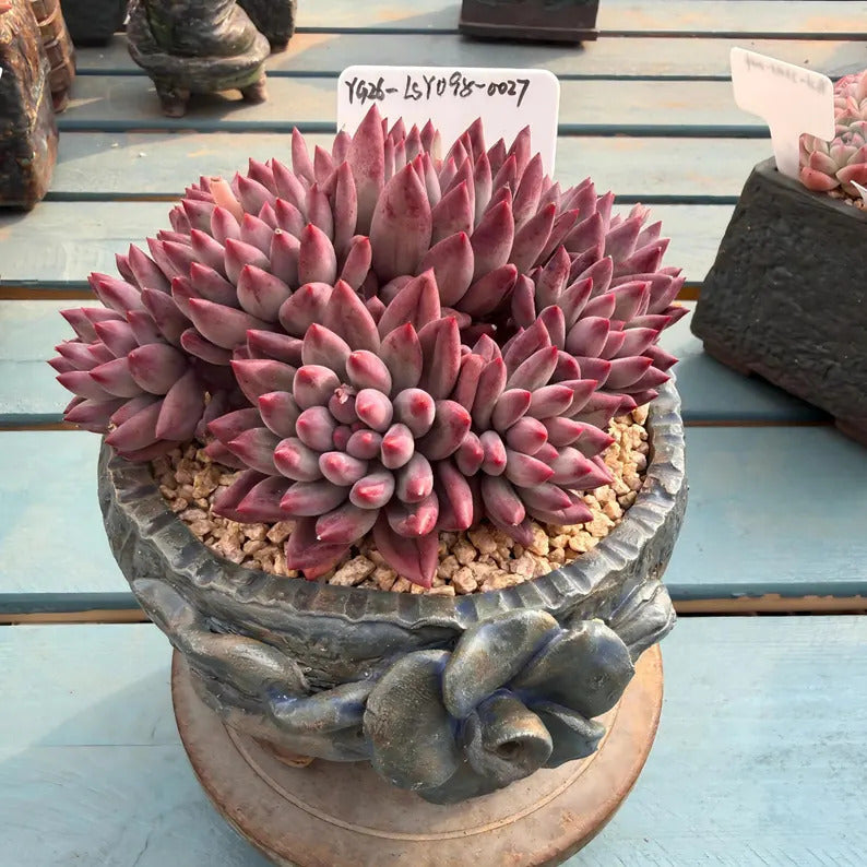 38f3036a-a937-4766-bb47-80262f88bdb1