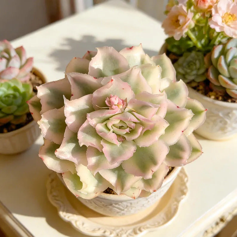 dda23db6-78e3-4f98-b679-0891484a8650