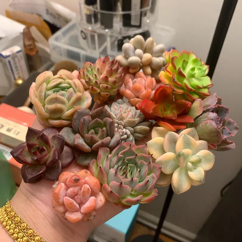 7117f02d-d092-4cde-bc9c-c8c7c256250e