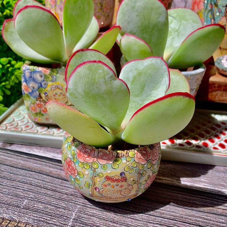 0ced665d-de84-456a-becb-3a51027f3406