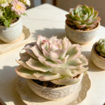 ef47c461-4ed6-4f4f-b3f3-f225f4567b42