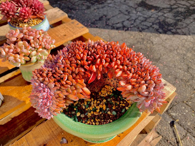 f6f9f487-e7d1-48e6-bb17-6b27fa38d6d1