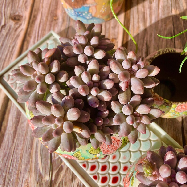 7acbd49a-90fa-4f19-b134-ad2ebf81f7c7