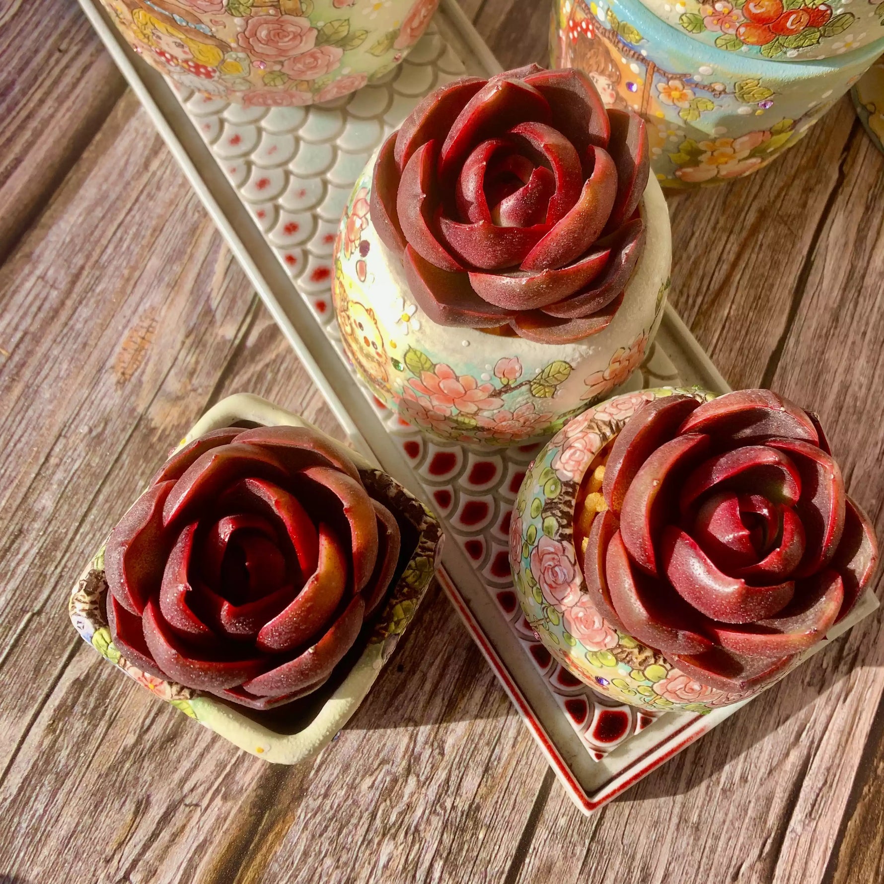 lantern flower succulent Echeveria Red Lantern – The One Bloom