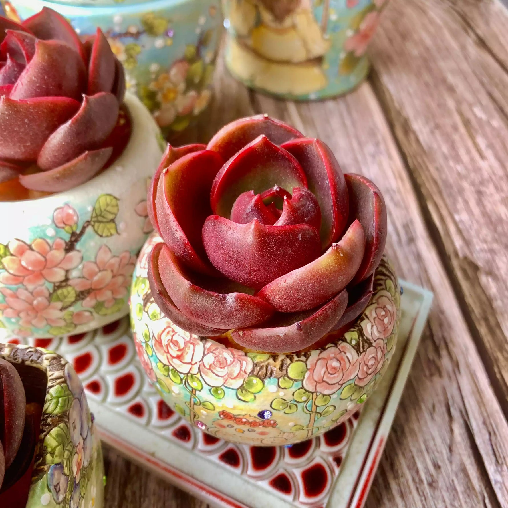 echeveria red succulents Echeveria Red Lantern – The One Bloom