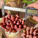 ruby donna succulent Graptoveria Ruby Donna – The One Bloom