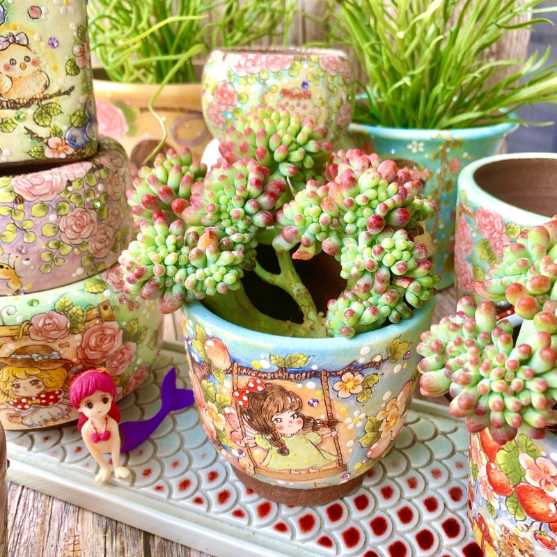 Sedum pachyphyllum Crested Jelly Beans