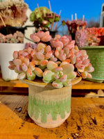 0fa0857b-a026-40f5-a6a2-39818c44a746